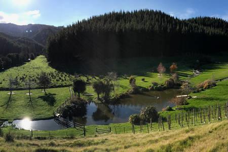 Castello Di Vino Leilighet Blenheim Eksteriør bilde